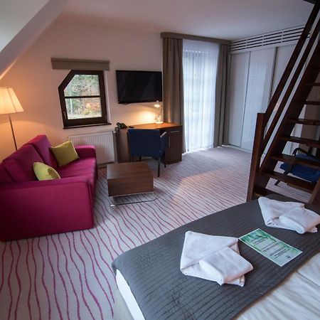 Aparthotel Flinski Sport & Spa Świeradów-Zdrój 部屋 写真
