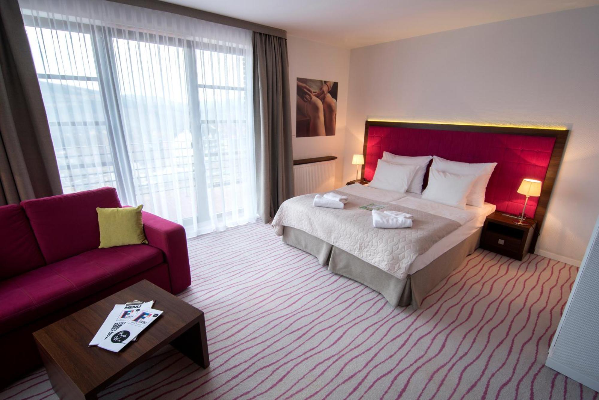 Aparthotel Flinski Sport & Spa Świeradów-Zdrój 部屋 写真